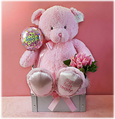 My First Pink Teddy Bear